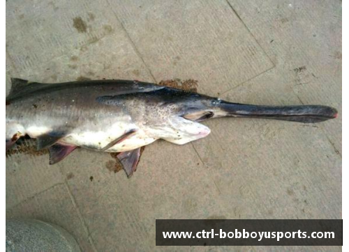 BOB博鱼t体育干饭人必看！重庆哪里的大米最好吃？经过评比这10个地方